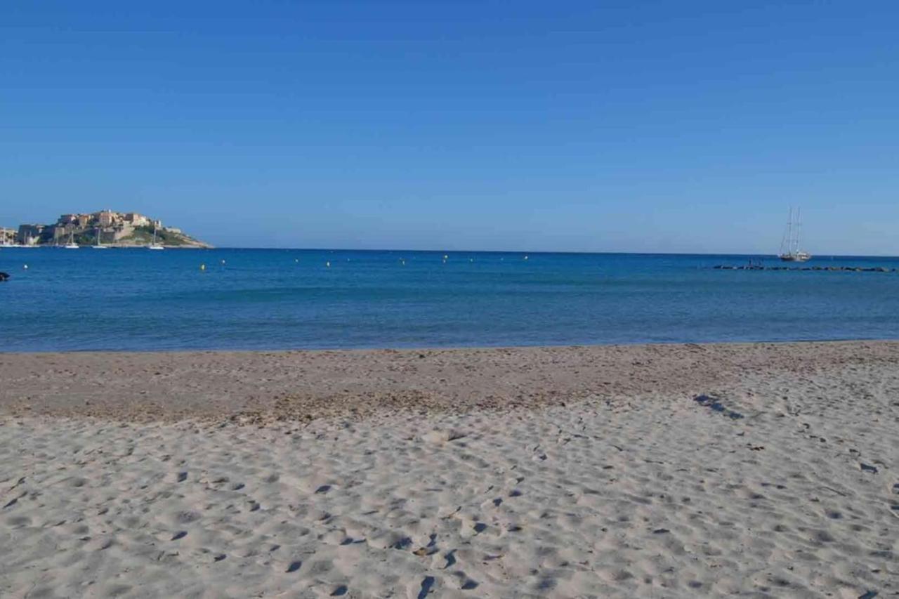 Location De Vacances Olivier Jardin Privatif Et Piscine Chauffee Partagee Calvi  Buitenkant foto