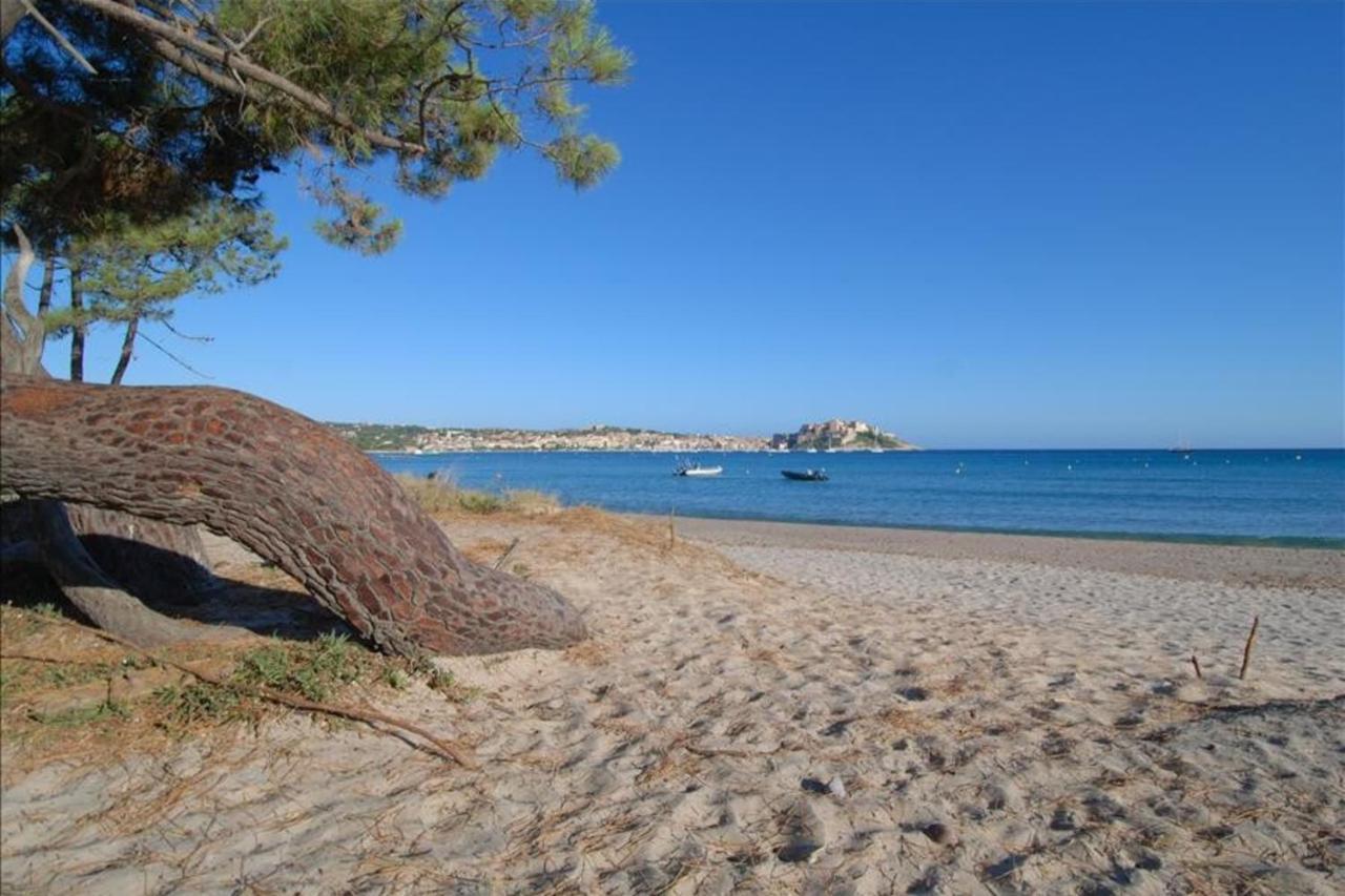 Location De Vacances Olivier Jardin Privatif Et Piscine Chauffee Partagee Calvi  Buitenkant foto